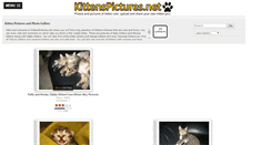 Desktop Screenshot of kittenspictures.net